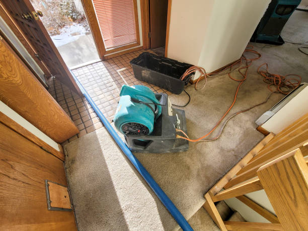 Trusted Daytona Beach, FL Water damage restoration Experts