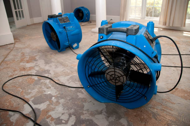 Best Flood damage cleanup  in Daytona Beach, FL