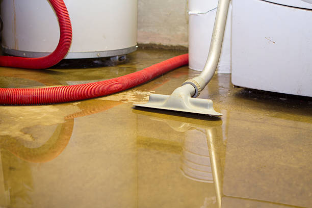 Best Water damage restoration cost  in Daytona Beach, FL