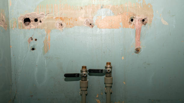 Best Sewage cleanup and water damage restoration  in Daytona Beach, FL