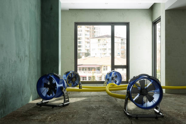 Best 24-hour water damage restoration  in Daytona Beach, FL